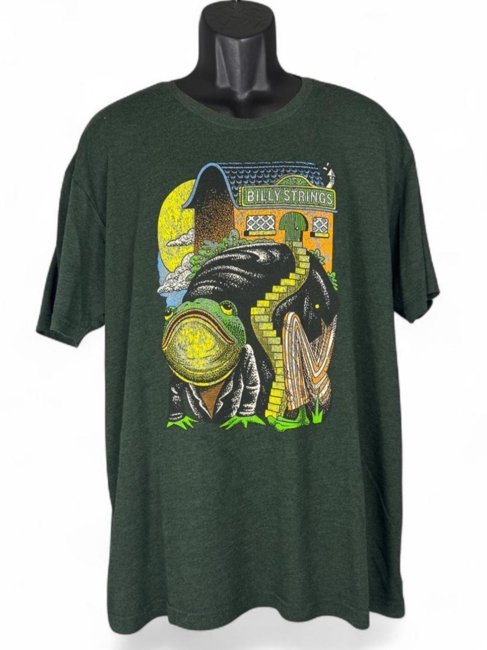Billy Strings Winter Tour 2023 Frog Rain Concert Shirt 2XL Green BMFS Band Tee